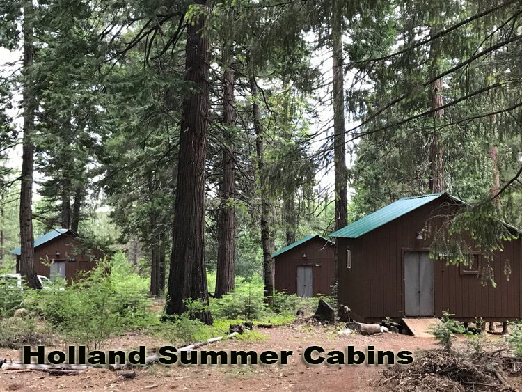 Holland Summer Cabins