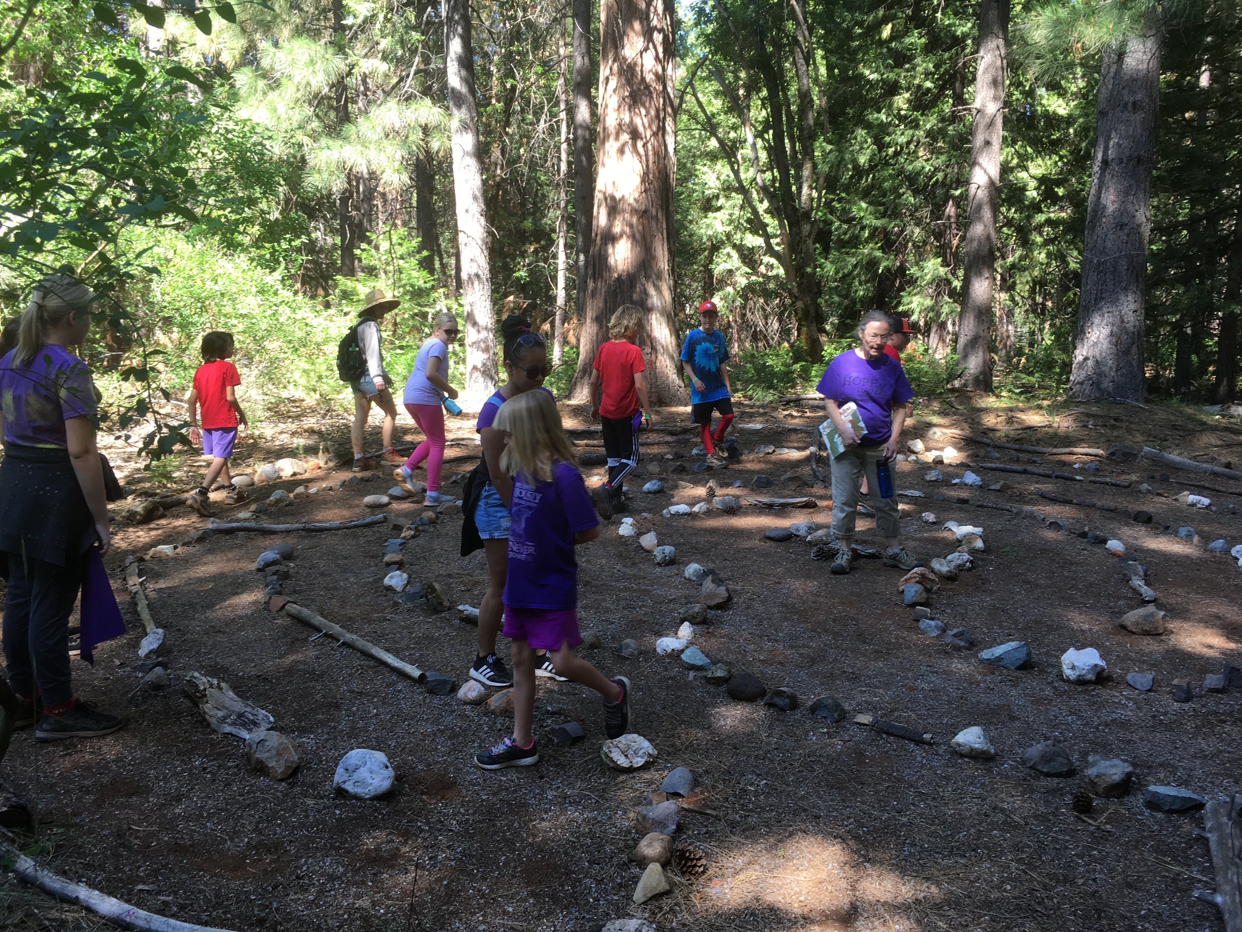 Navigating the labyrinth